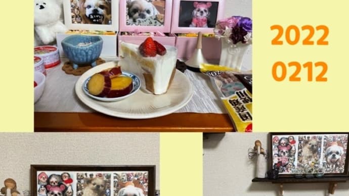 福ちゃん(*˙□˙) は (*˙罒˙) ぴ (*˙□˙) ば
