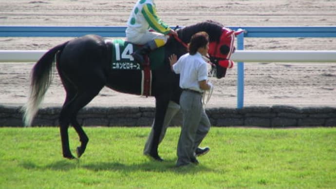 競馬界の二刀流 「熊沢重文騎手引退」