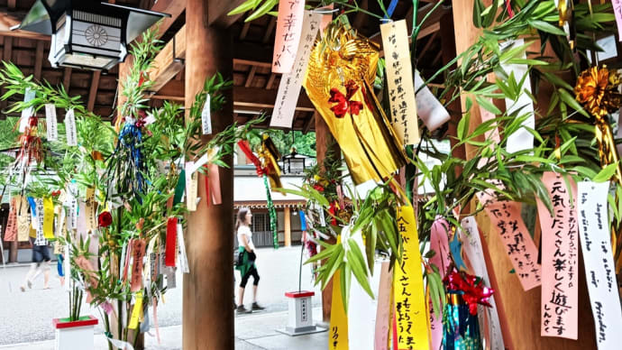 七夕飾りとエゾシカと元気なリスたちと!~円山公園&北海道神宮散策~
