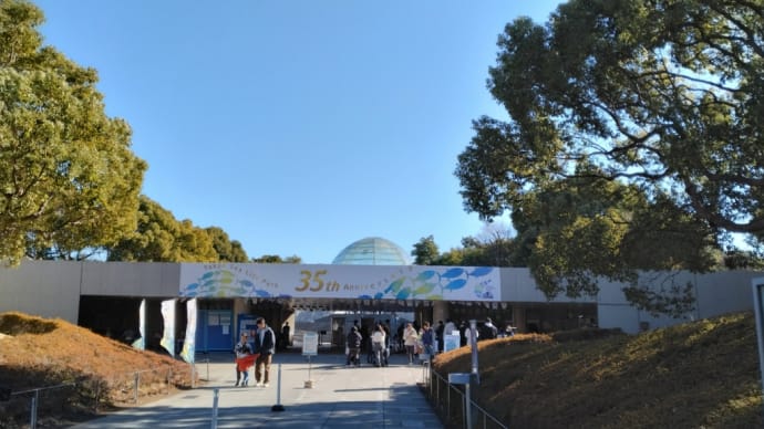 水族園と観覧車
