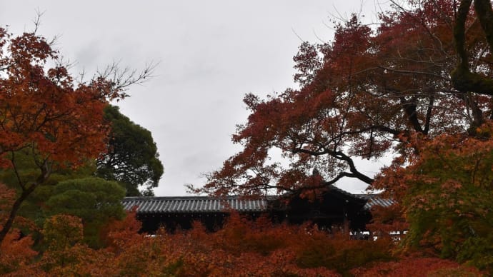 もみじ狩り 京都編1日目 京都市東山区本町 臨済宗大本山:東福寺【2】-3 洗玉澗から通天橋