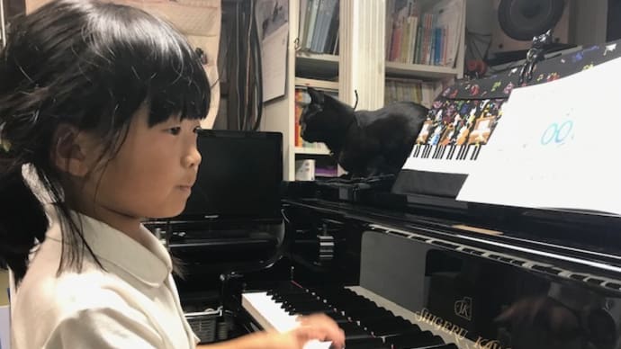 見守り猫です