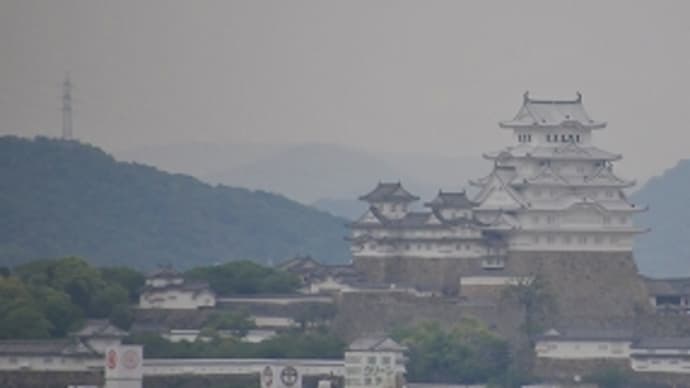 今日の姫路城 (2015.5.18)