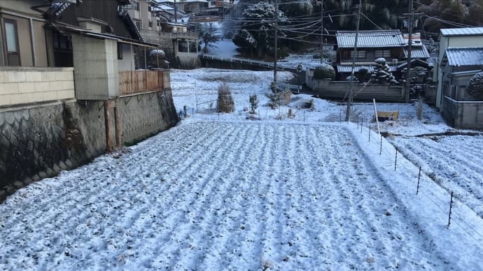 雪で休養日