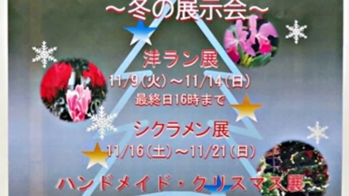 洋ラン展＆シクラメン展～豊平公園緑のセンター～