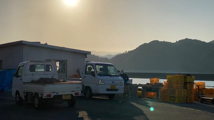 芦北町漁協牡蠣部会