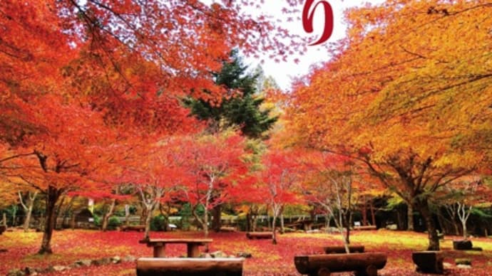紅葉狩り~昭和の森会館 道の駅天城越え~