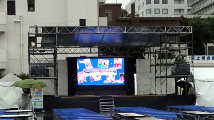 2025年世界トライアスロンシリーズ横浜大会(4)