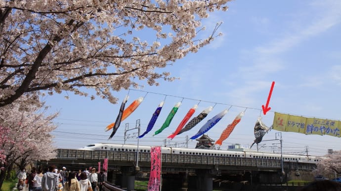 愛知県は清洲城と桜と新幹線（２０１０年４月）