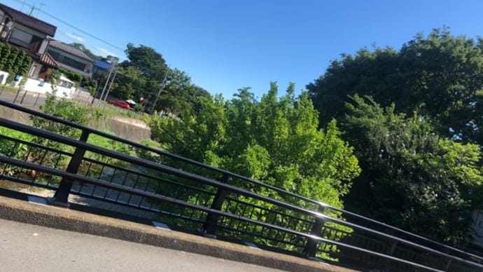 有給消化23日目 (*^-^*)