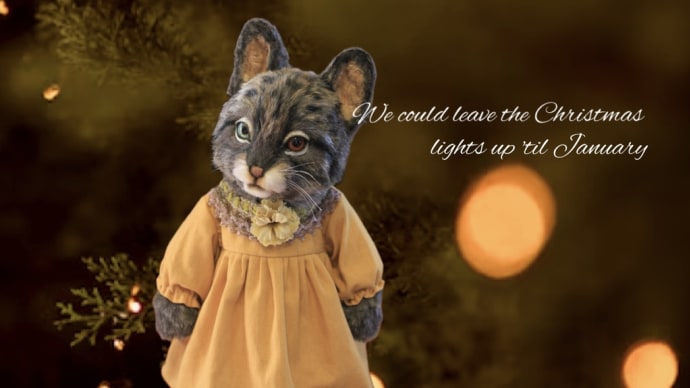 お人形野生猫シリーズ イリオモテヤマネコ?