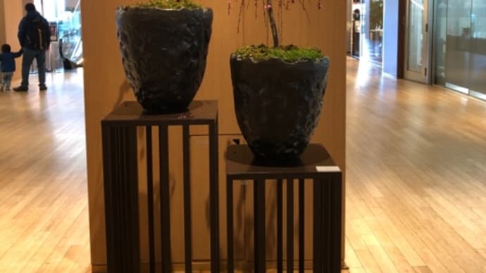 おいしい都会のランチ