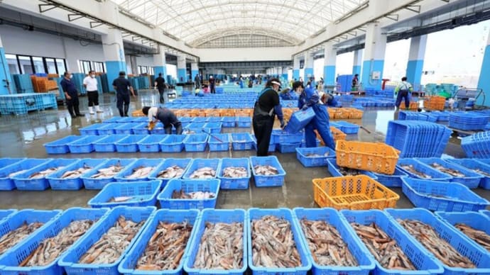 日本外務省、中国の全面輸入停止「全く容認できない」WTOに報告