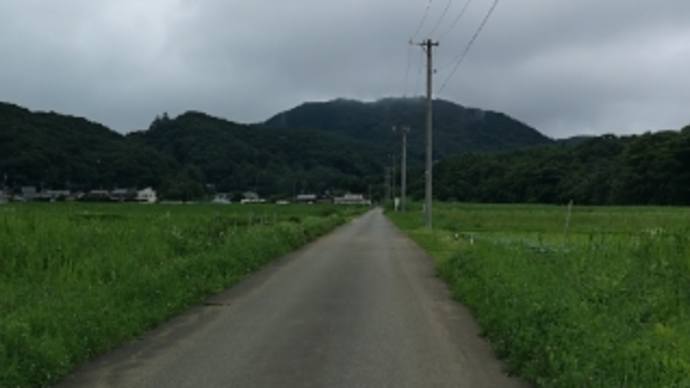 どつきに来たかと思ったわ‼️