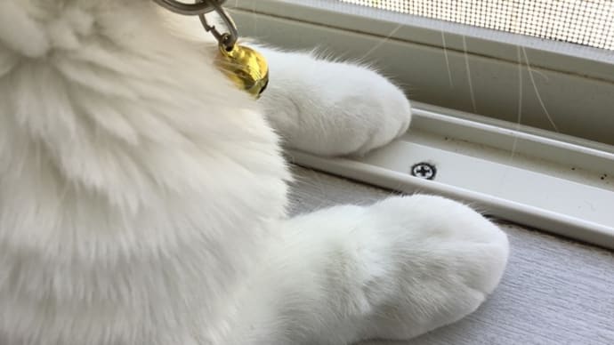 災害で家が潰れたらきっと・・・