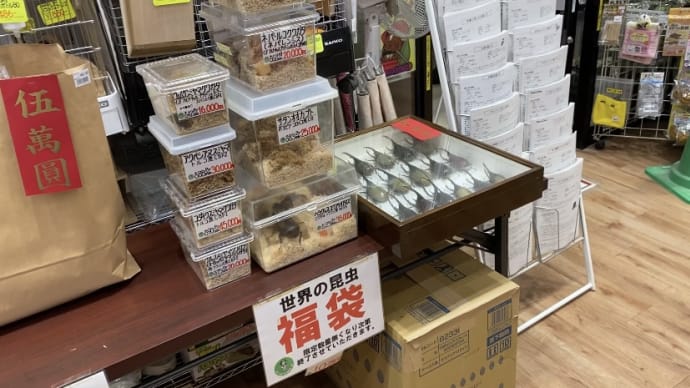 ☆いよいよ本日4年ぶりの🎍新春福袋🎍開催します☆