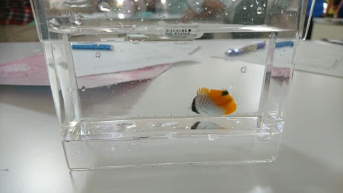 立川科学センター魚の科学で２学期スタート