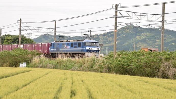 令和3年５月１２日　５０９１レ