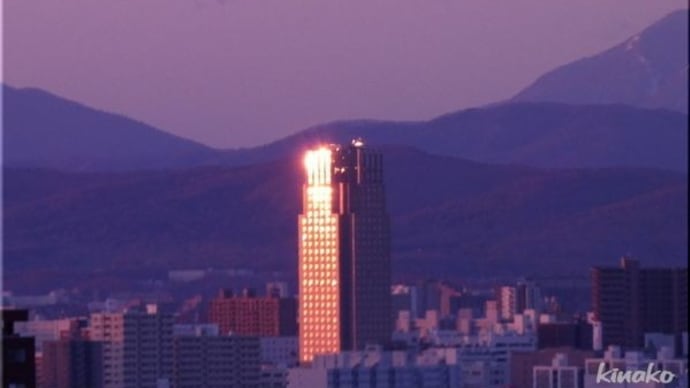季節限定、光るビル。