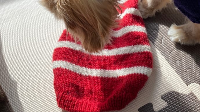 可愛いセーター編み上がりました