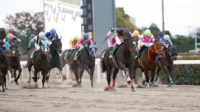 【予想】 第29回 武蔵野ステークス G3