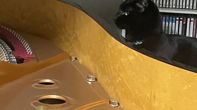 調律の見守り