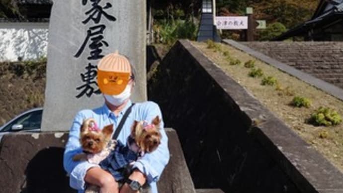 福島旅行 武家屋敷&毘沙門沼