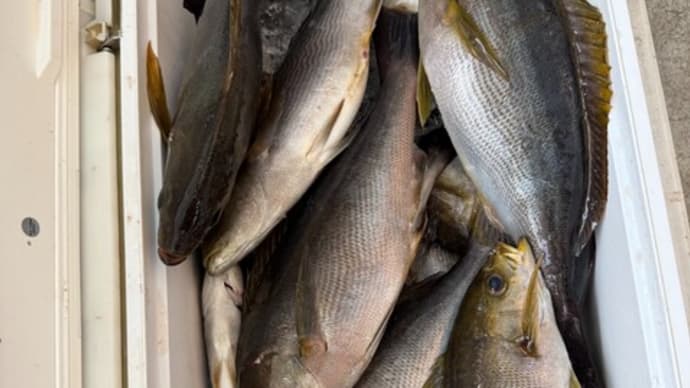 釣行は、帰宅後が大変!