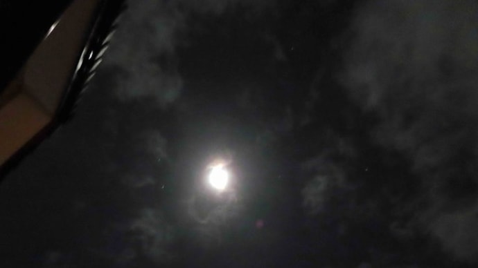 今日の委員会審議を終えて夕刻の空に月光環に雪が舞った