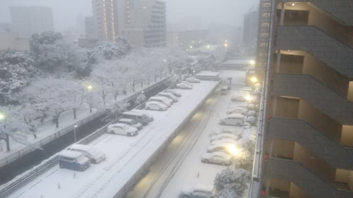 東京に大雪警報が出てます