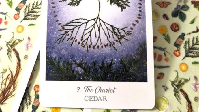 The Chariot (CEDAR)