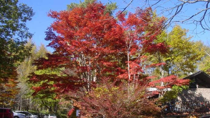 八ヶ岳の紅葉「八ケ岳倶楽部」10月29日現在