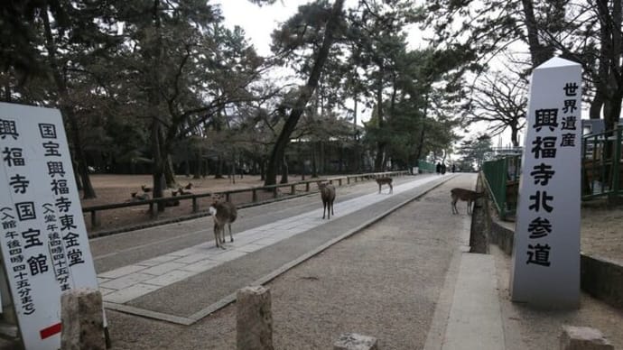東大寺 大仏殿