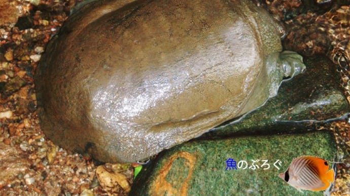 ブログの名称とは・・・