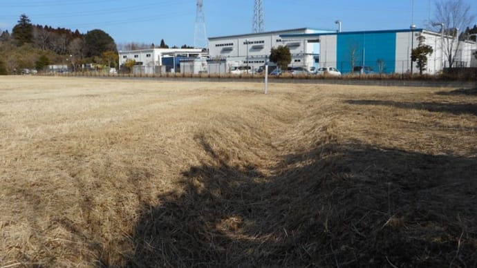 千葉市の某所で現場調査