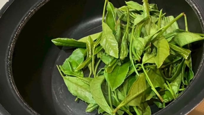 自宅でお茶を作りました!