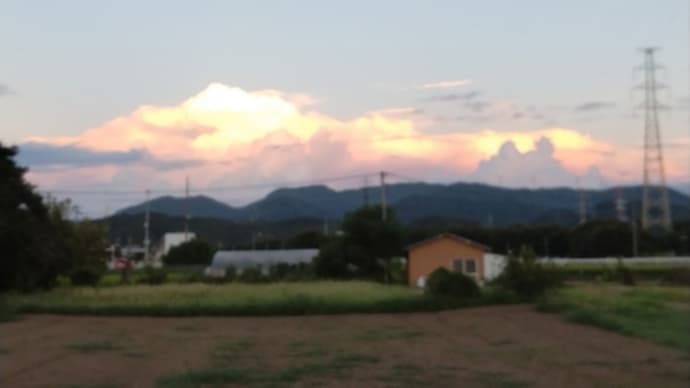 散歩の途中