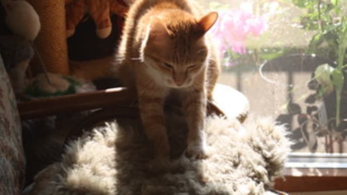いのり