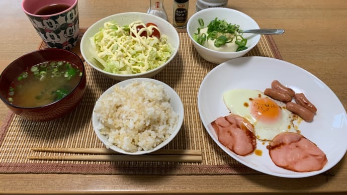 コレぞ男飯(休肝日)