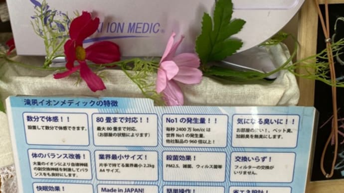 今日も贅沢な時間を過ごします