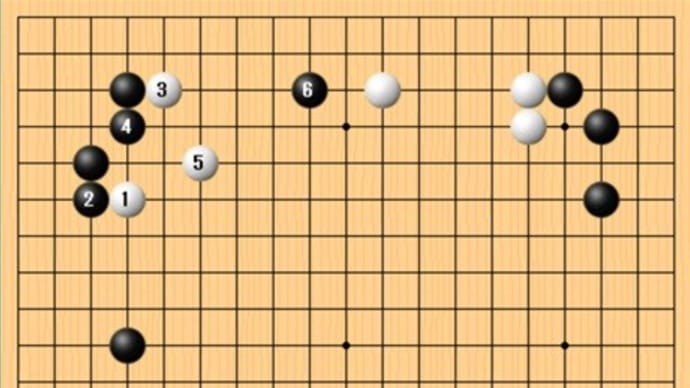 本因坊戦五番勝負第2局