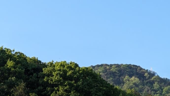 シリウスの言葉                     やっぱりまだ寒いですね