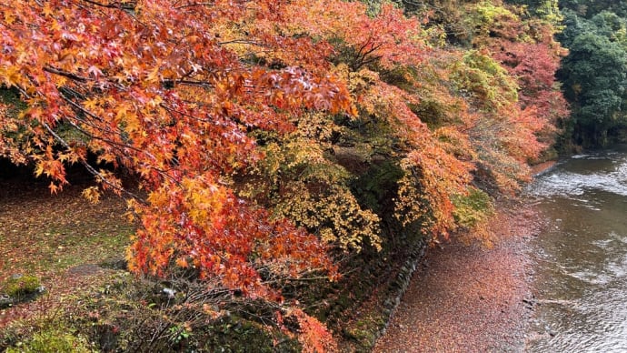 秋を迎えて、昨秋の三尾三山(さんびさんざん)紅葉狩りを振り返る①