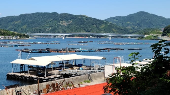 九島大橋を渡る