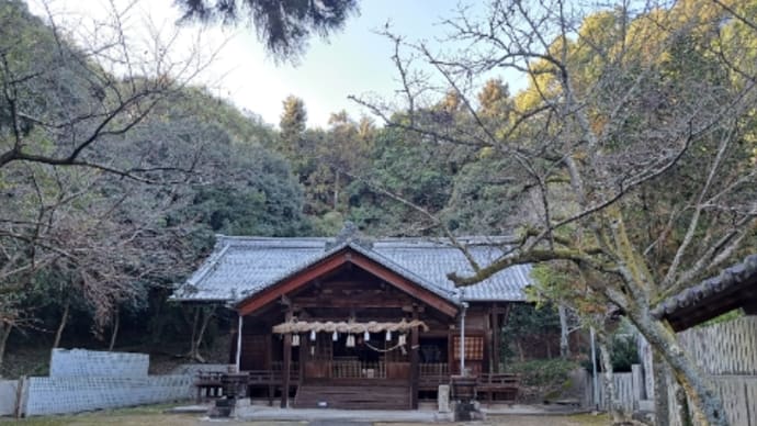 神社のはしごと柿