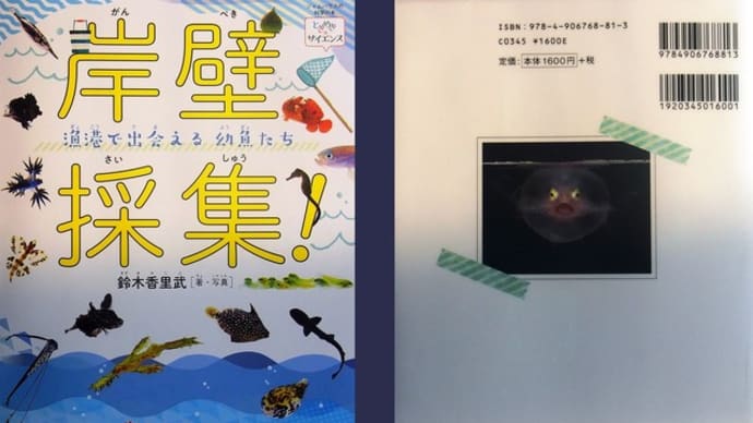 『岸壁採集!』この本おもろい!