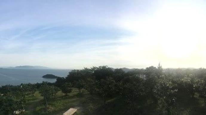 夏の万葉岬