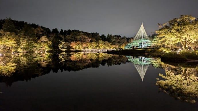 秋の夜散歩2024@国営昭和記念公園