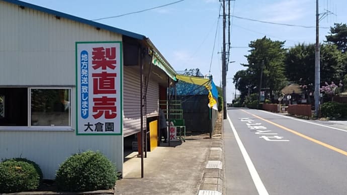 雹で梨の直売が全滅状態