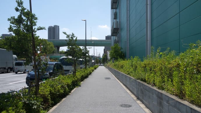 6月の辰巳の森海浜公園:三つ目通りの辰巳一丁目交差点とラクビー練習場の周辺 PART1